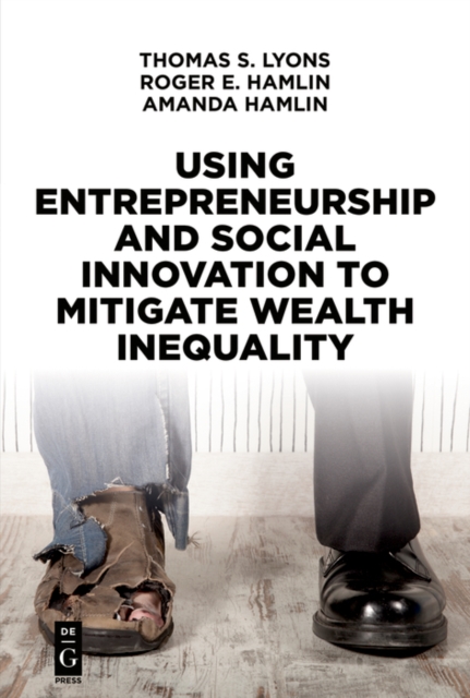 Using Entrepreneurship and Social Innovation to Mitigate Wealth Inequality, EPUB eBook