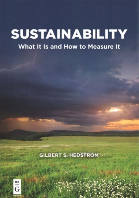 Sustainability : What It Is and How to Measure It, Paperback / softback Book