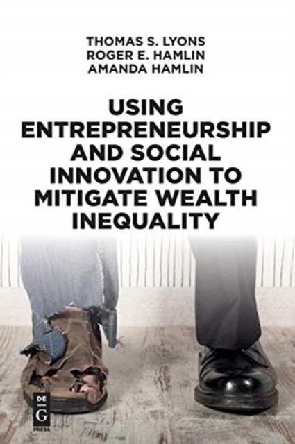Using Entrepreneurship and Social Innovation to Mitigate Wealth Inequality, Paperback / softback Book