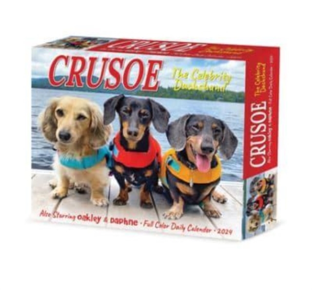 Crusoe the Celebrity Dachshund 2024 6.2 X 5.4 Box Calendar, Calendar Book
