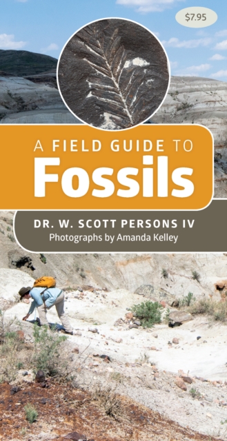 A Field Guide to Fossils, Pamphlet Book