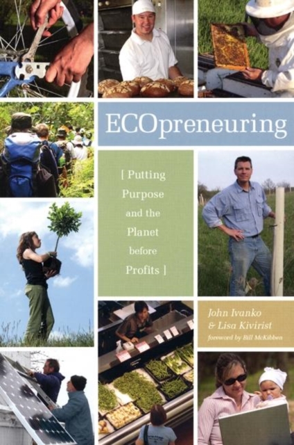 Ecopreneuring : Putting Purpose and the Planet Before Profits, PDF eBook
