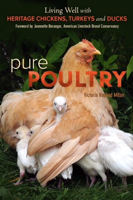 Pure Poultry : Living Well with Heritage Chickens, Turkeys and Ducks, EPUB eBook