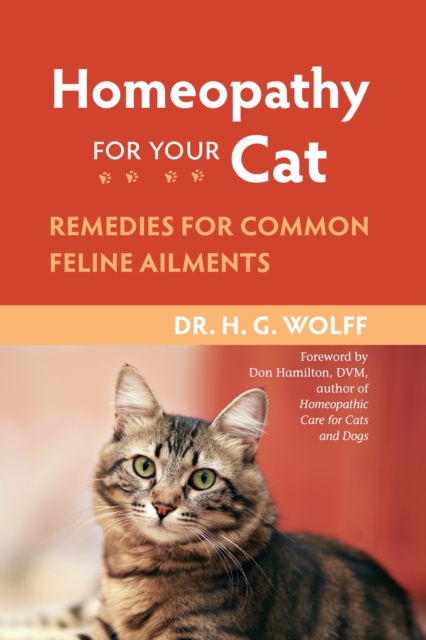 Homeopathy for Your Cat : Remedies for Common Feline Ailments, Paperback / softback Book