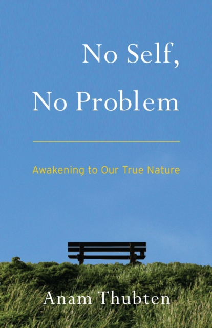 No Self, No Problem : Awakening to Our True Nature, Paperback / softback Book