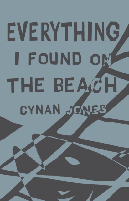 Everything I Found on the Beach, EPUB eBook