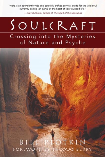 Soulcraft : Crossing into the Mysteries of Nature and Psyche, EPUB eBook
