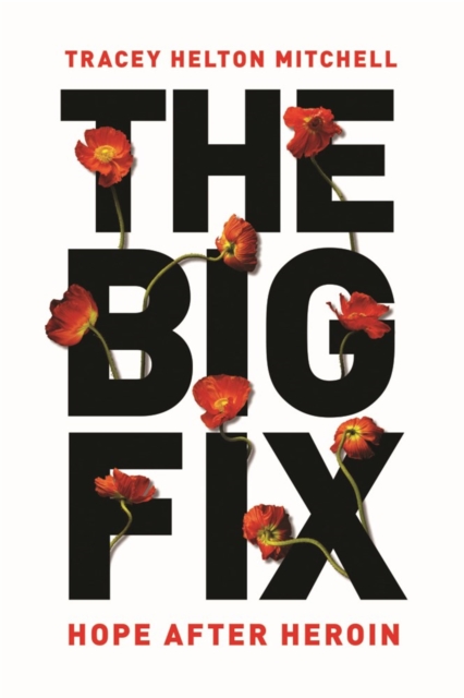 The Big Fix : Hope After Heroin, Paperback / softback Book