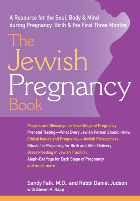 Jewish Pregnancy Book : A Resource for the Soul Body & Mind during Pregnancy Birth & the First Three Months, EPUB eBook