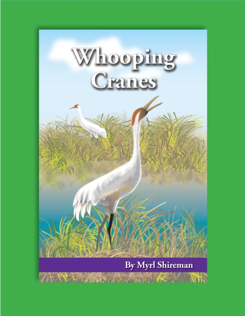 Whooping Cranes : Reading Level 3, PDF eBook