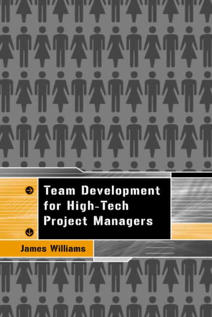 Team Development for High Tech Project Managers, PDF eBook