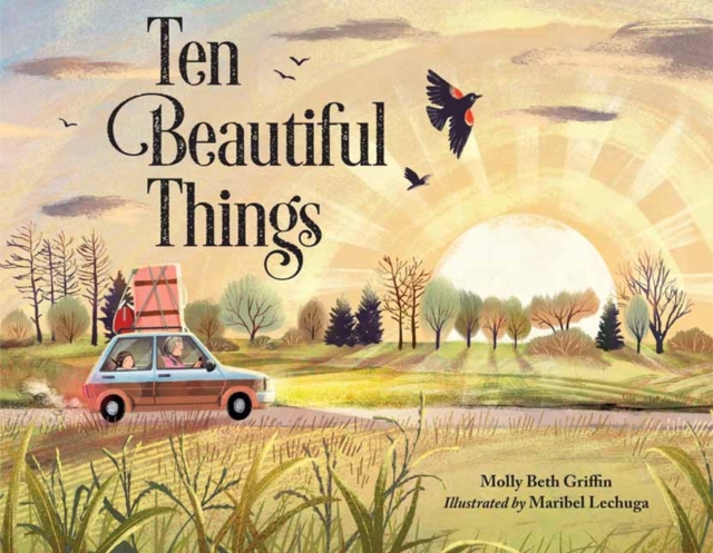 Ten Beautiful Things, Hardback Book