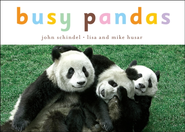Busy Pandas, Board book Book