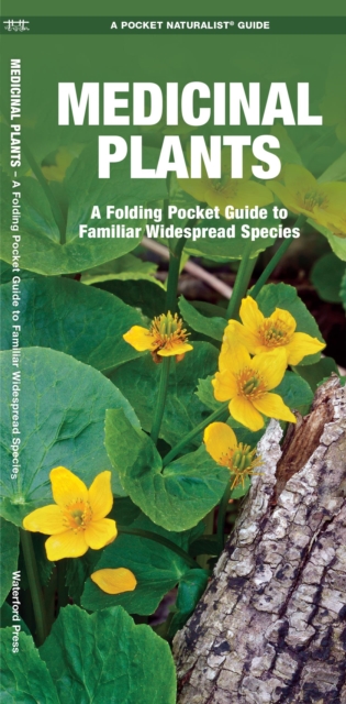 Medicinal Plants : A Folding Pocket Guide to Familiar Widespread Species, Pamphlet Book