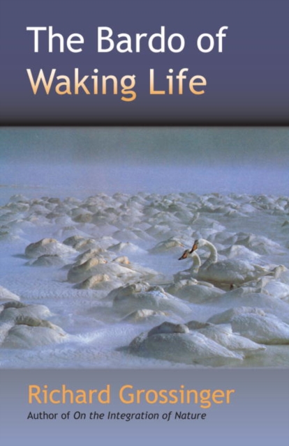 Bardo of Waking Life, EPUB eBook