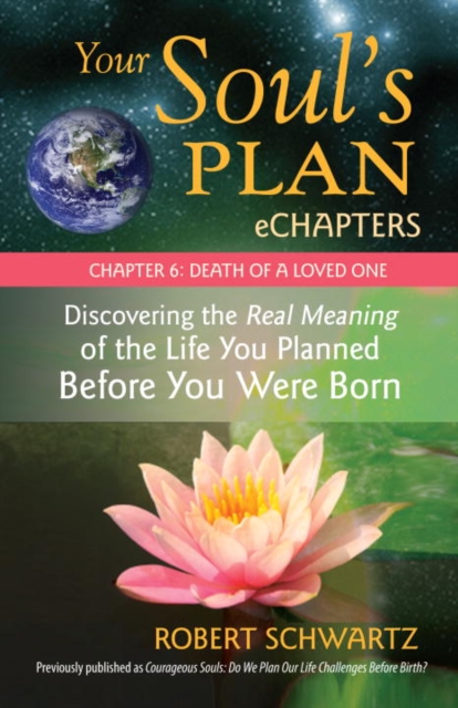 Your Soul's Plan eChapters - Chapter 6: Death of a Loved One, EPUB eBook