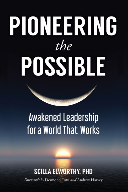 Pioneering the Possible : Awakened Leadership for a World That Works, Paperback / softback Book