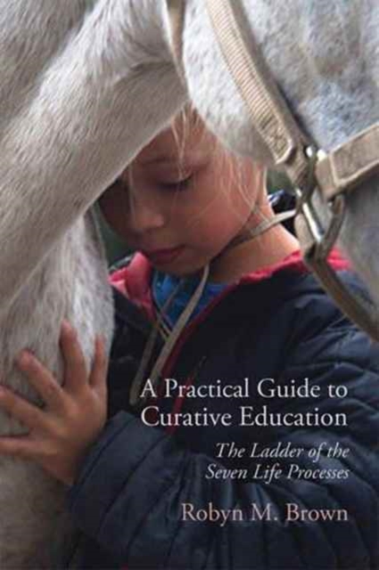 A Practical Guide to Curative Education : The Ladder of the Seven Life Processes, Paperback / softback Book