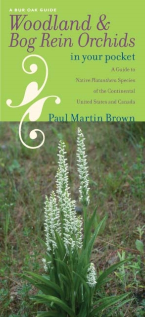 Woodland and Bog Rein Orchids in Your Pocket : A Guide to Native Platanthera Species of the Continental United States and Canada, PDF eBook