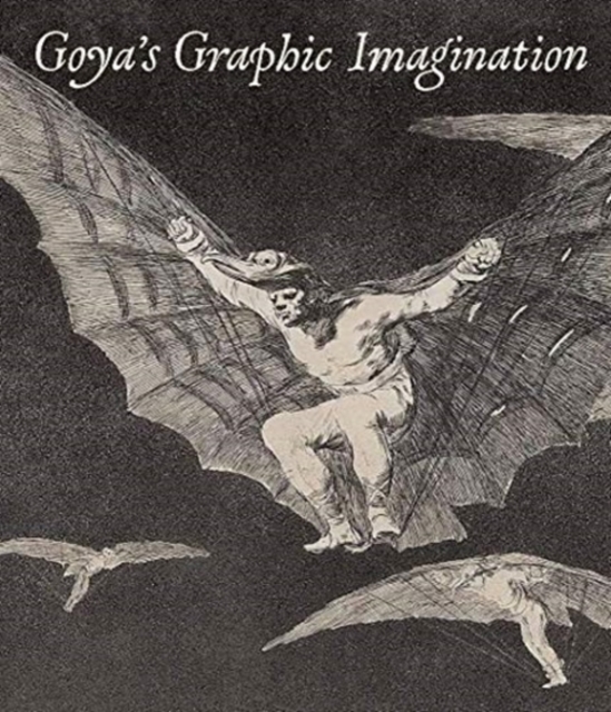 Goya's Graphic Imagination, Hardback Book