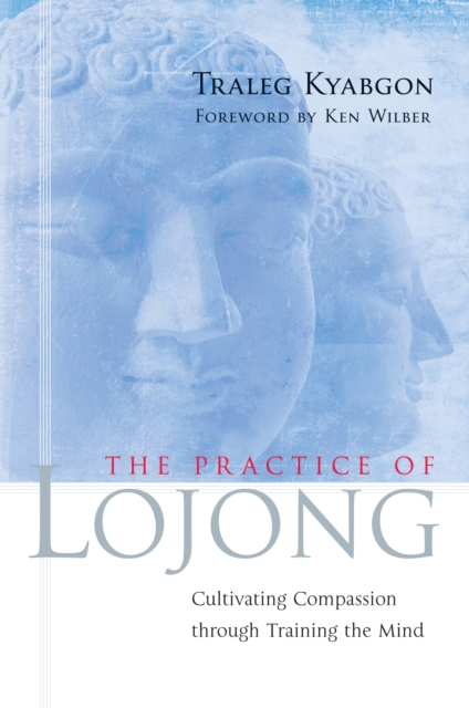 The Practice of Lojong : Cultivating Compassion through Training the Mind, Paperback / softback Book