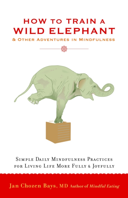 How to Train a Wild Elephant : And Other Adventures in Mindfulness, Paperback / softback Book
