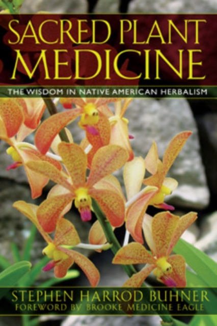 Sacred Plant Medicine : The Wisdom in Native American Herbalism, Paperback / softback Book