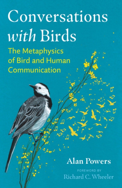 Conversations with Birds : The Metaphysics of Bird and Human Communication, Paperback / softback Book
