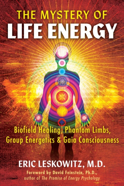 The Mystery of Life Energy : Biofield Healing, Phantom Limbs, Group Energetics, and Gaia Consciousness, EPUB eBook