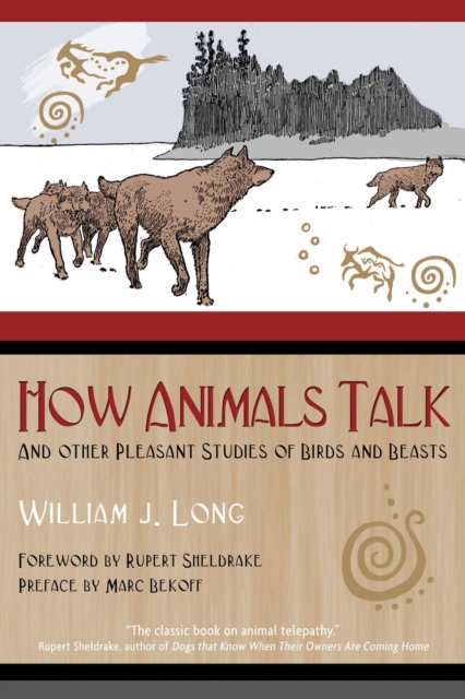 How Animals Talk : And Other Pleasant Studies of Birds and Beasts, EPUB eBook