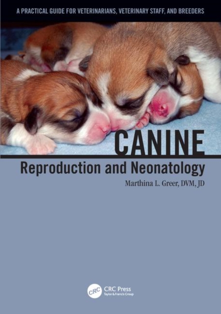 Canine Reproduction and Neonatology, Paperback / softback Book