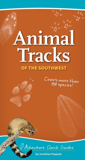 Animal Tracks of the Southwest, EPUB eBook