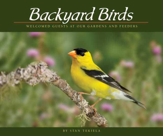 Backyard Birds : Welcomed Guests at Our Gardens and Feeders, EPUB eBook