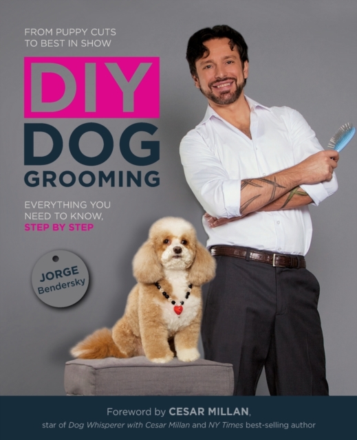 DIY Dog Grooming : Everything You Need to Know, Step by Step, Paperback / softback Book