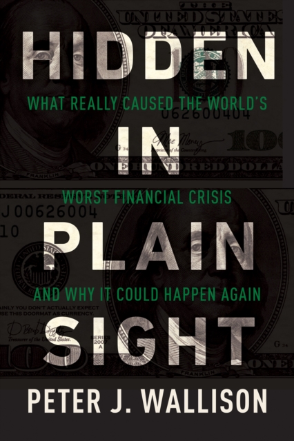 Hidden in Plain Sight : What Really Caused the World's Worst Financial Crisis and Why It Could Happen Again, EPUB eBook