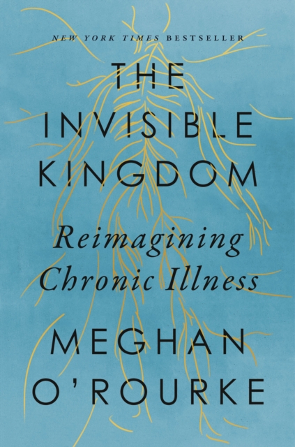 The Invisible Kingdom : Reimagining Chronic Illness, Hardback Book