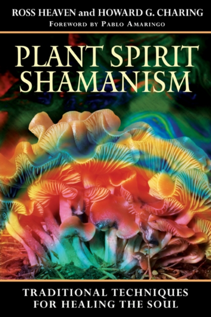 Plant Spirit Shamanism : Traditional Techniques for Healing the Soul, Paperback / softback Book