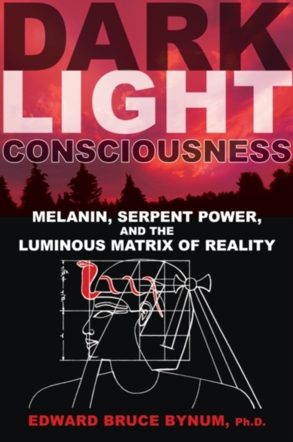 Dark Light Consciousness : Melanin, Serpent Power, and the Luminous Matrix of Reality, Paperback / softback Book