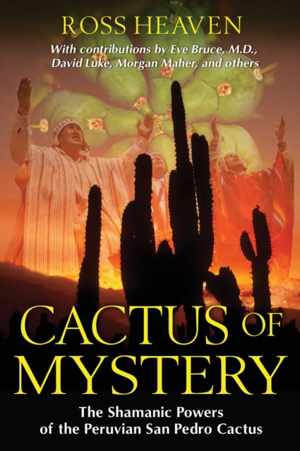 Cactus of Mystery : The Shamanic Powers of the Peruvian San Pedro Cactus, EPUB eBook