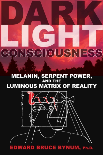 Dark Light Consciousness : Melanin, Serpent Power, and the Luminous Matrix of Reality, EPUB eBook
