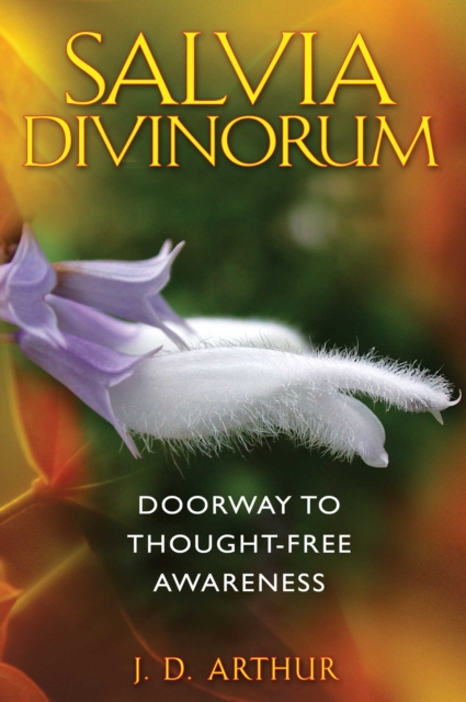 Salvia Divinorum : Doorway to Thought-Free Awareness, EPUB eBook