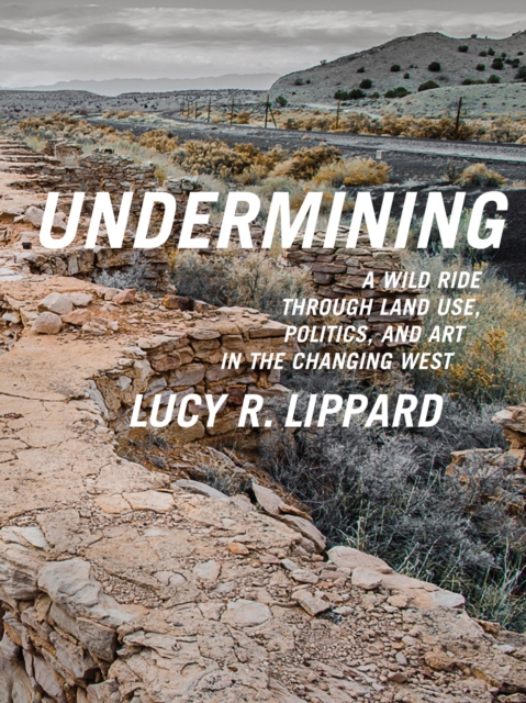 Undermining : A Wild Ride Through Land Use, Politics, and Art in the Changing West, EPUB eBook