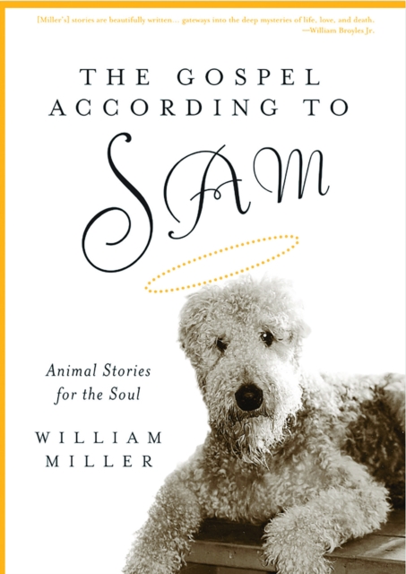 The Gospel According to Sam : Animal Stories for the Soul, EPUB eBook