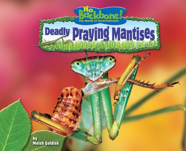 Deadly Praying Mantises, PDF eBook