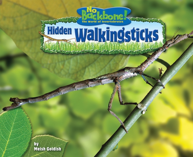 Hidden Walkingsticks, PDF eBook