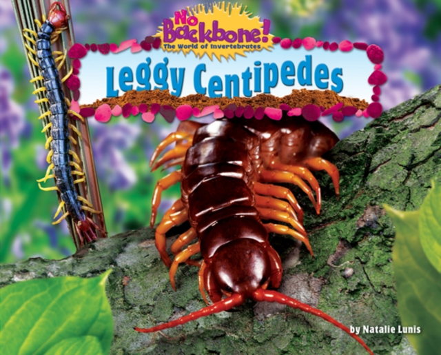 Leggy Centipedes, PDF eBook