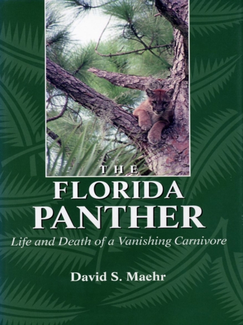 The Florida Panther : Life And Death Of A Vanishing Carnivore, EPUB eBook