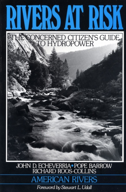 Rivers at Risk : Concerned Citizen's Guide To Hydropower, EPUB eBook