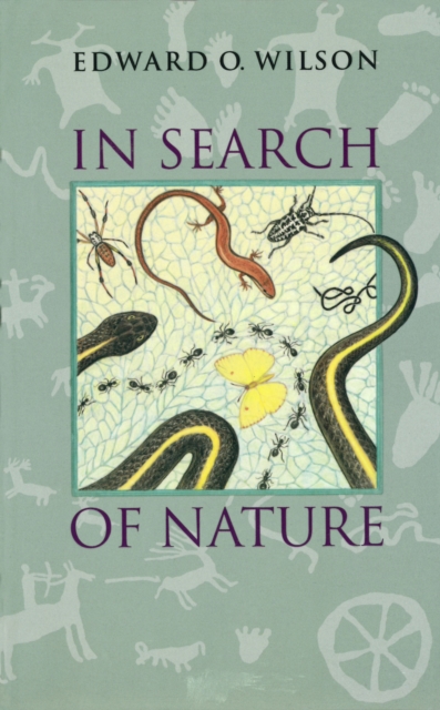 In Search of Nature, EPUB eBook