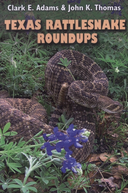 Texas Rattlesnake Roundups, PDF eBook